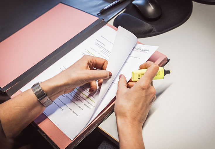 Scholl + Partner Download