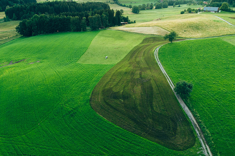 Agrarwirtschaft